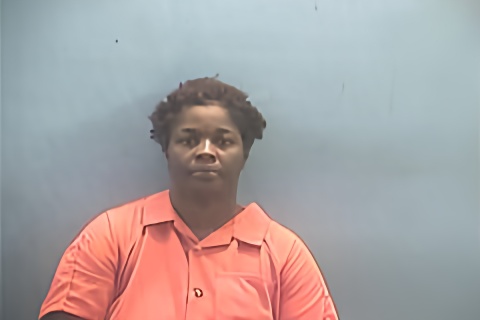 Mugshot of DESTINEE CHEATHAM
