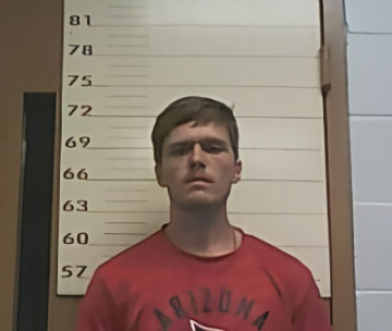 Mugshot of ADAM R LEE