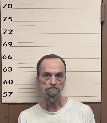 Mugshot of RONNIE L SWANN