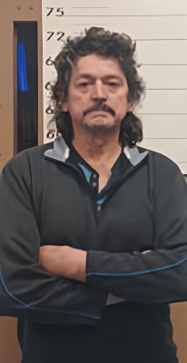 Mugshot of NICOLAS VILLATORO