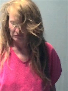 Mugshot of Wanda MARIE GOODMAN