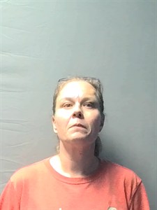 Mugshot of Nichole Lynn Pulver
