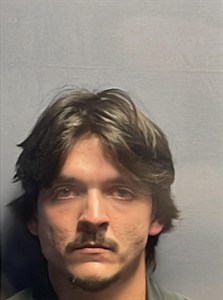 Mugshot of Maison LEE CRAIG LEWIS