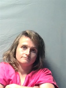 Mugshot of Destiny Lynn Evans
