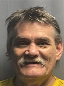 Mugshot of Todd WAYNE BALES