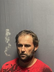 Mugshot of Michael Roy Williams