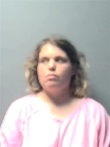 Mugshot of Gretchen HINES