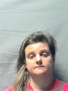 Mugshot of Megan Marie Sebourn