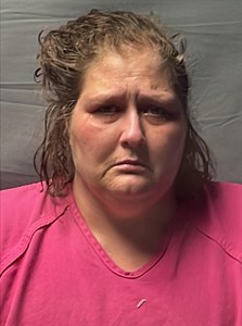 Mugshot of Donna Kay Higdon