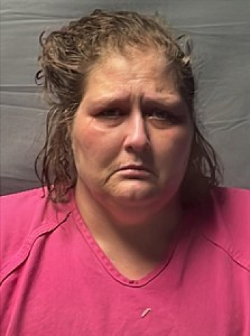 Mugshot of Donna Kay Higdon