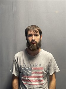 Mugshot of Dillian Cole Brown