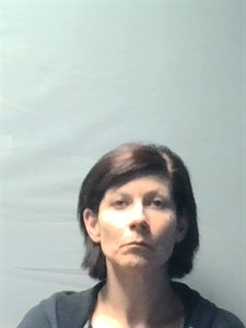 Mugshot of Mindy Anne Wells