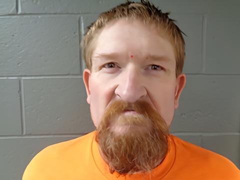 Mugshot of BRIAN Ivie
