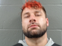 Mugshot of DAISON FAVER