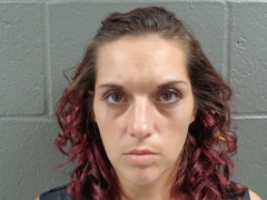Mugshot of JANELLE MONTEZ