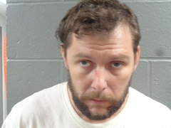 Mugshot of DYLAN SANDERS