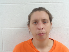 Mugshot of SARAH,NICOLE OESTREICH