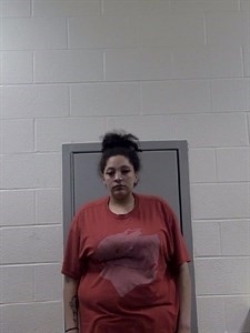 Mugshot of DERIEKA BROWN