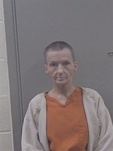 Mugshot of JOHNIE NICHOLE TURNER