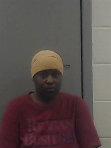 Mugshot of DESTINY NELSON