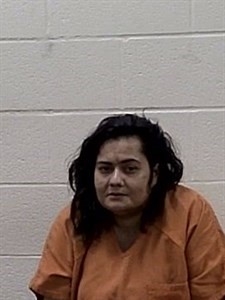 Mugshot of ANDREA LYNN MILLER