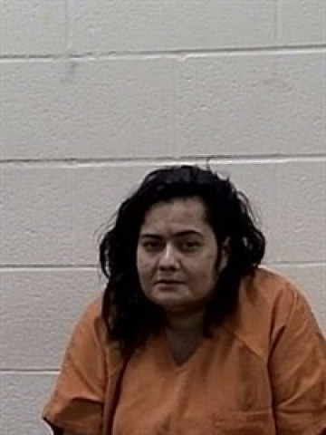 Mugshot of ANDREA LYNN MILLER