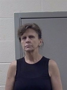 Mugshot of ANITA MARIE PRUITT