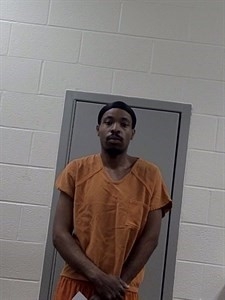 Mugshot of NICHOLAS JOHNSON