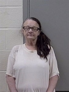 Mugshot of BRENDA CHILCUT