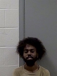 Mugshot of TYLER BORDERS