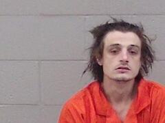 Mugshot of Bobby Larkin