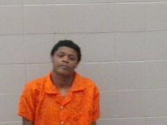 Mugshot of Sherman L Johnson