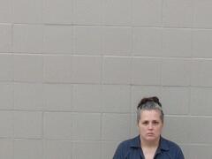 Mugshot of Melissa Wolfe