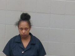 Mugshot of Cherrie Lashell Brock
