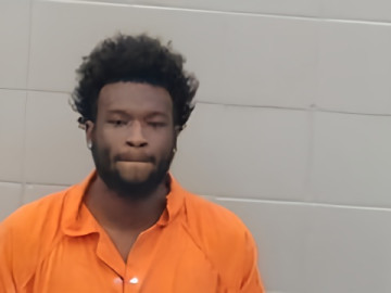 Mugshot of David Lever