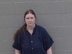 Mugshot of Carliesa Harvill