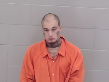 Mugshot of Williams Chuck Irwin