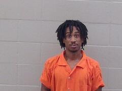 Mugshot of Louiecole Duane Mcshan