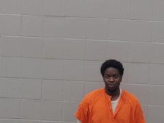 Mugshot of Leon Johnson
