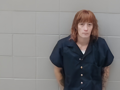 Mugshot of Keri Tanis Young