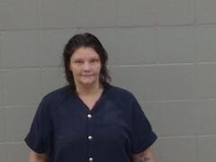 Mugshot of Krista Kinsey-collins