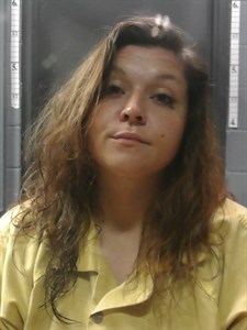 Mugshot of Michelle LYNN JOHNSON