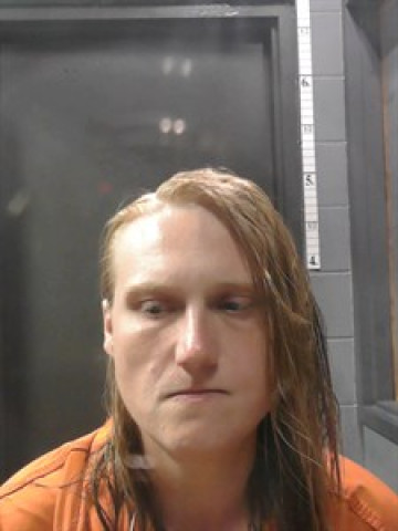 Mugshot of Angela NICOLE PETERSON