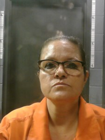 Mugshot of Bobbie LANE RAWLINGS