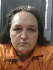 Mugshot of Amanda Lee Hill