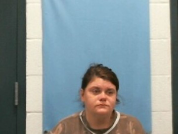 Mugshot of BRITTANY DANIELLE FOSTER