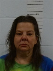 Mugshot of Amy Nicole Mckenzie