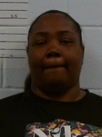 Mugshot of Kyndra Ringo