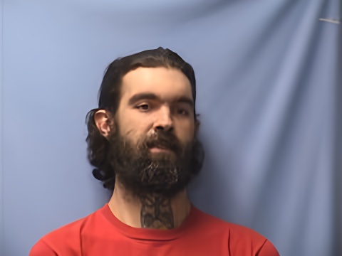 Mugshot of LEE CHURCHWELL