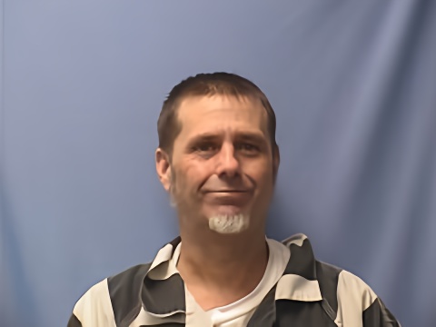 Mugshot of ROBERT WELLS